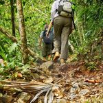 Jungle-First-Aid-Kit-Essentials-Be-Prepared-for-the-Unexpected-Rainforest-Best-Jungle-Gear